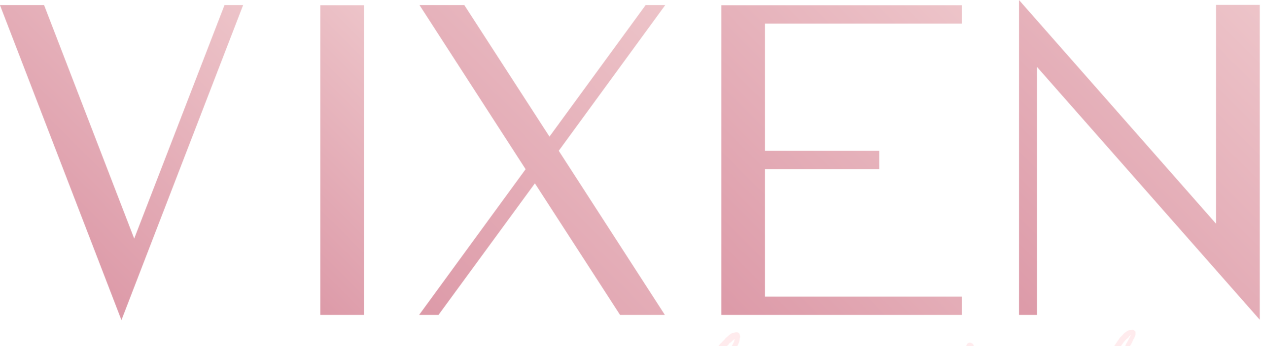 Vixen Pole Studio